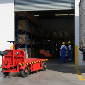 עגלת משא חשמלית 200/100